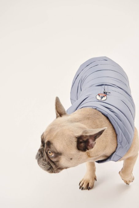 Piumino Blu Delave Dogs Woop Jott New In