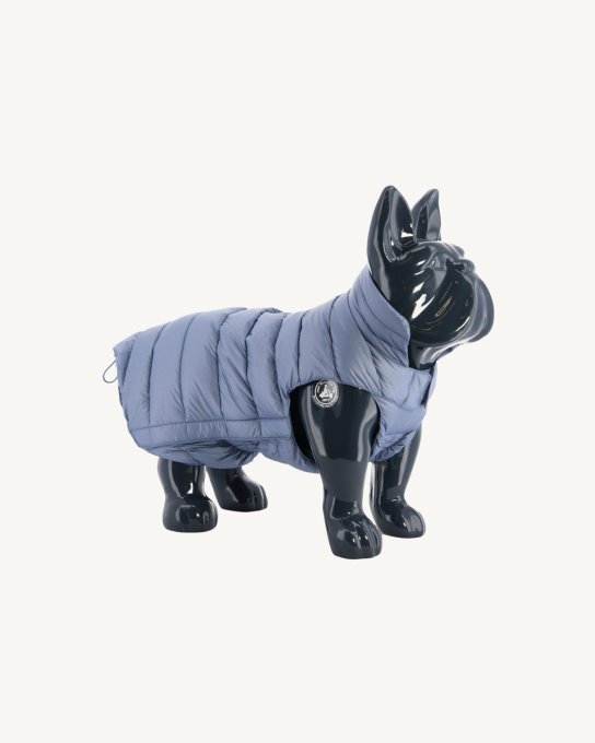 Piumino Blu Delave Dogs Woop Jott New In