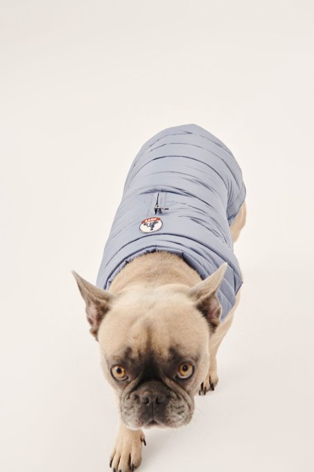 Piumino Blu Delave Dogs Woop Jott New In