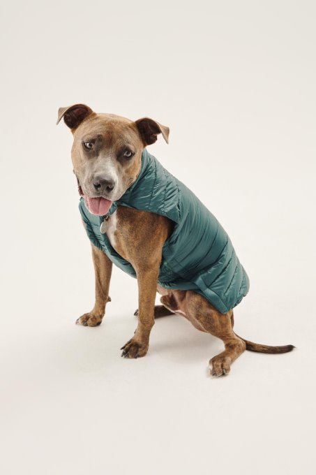 Jott Nuovo In Vert Fonce Cani Piumino Woop