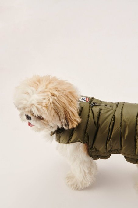 Piumino Per Cani Dell'esercito Woop Jott New In