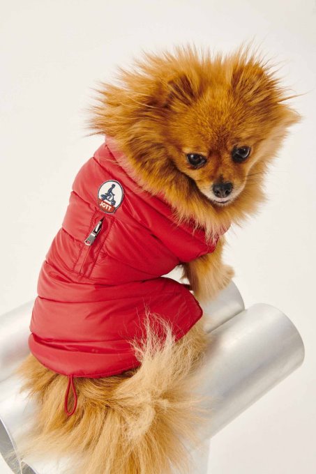 Jott New In Rouge Cani Piumino Woop