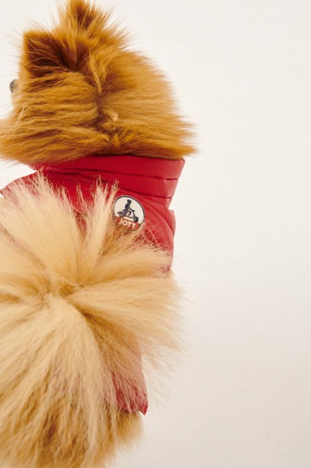 Jott New In Rouge Cani Piumino Woop