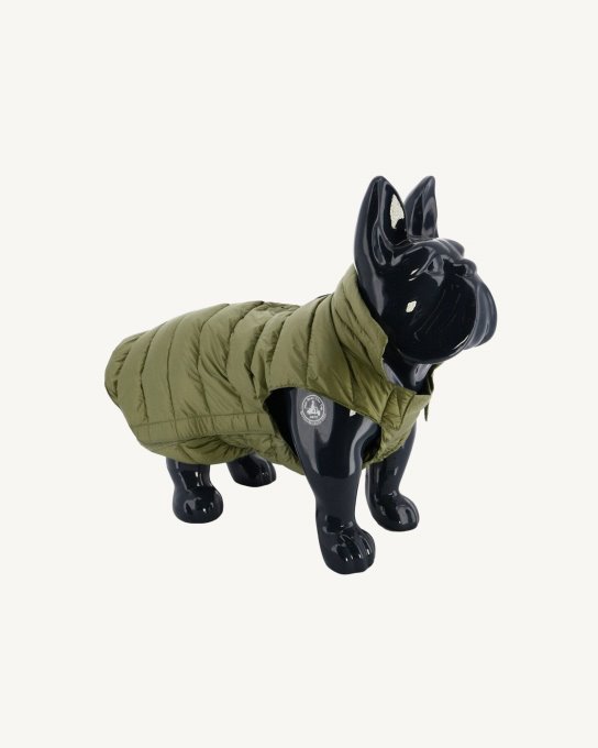 Piumino Bush Dogs Woop Jott New In